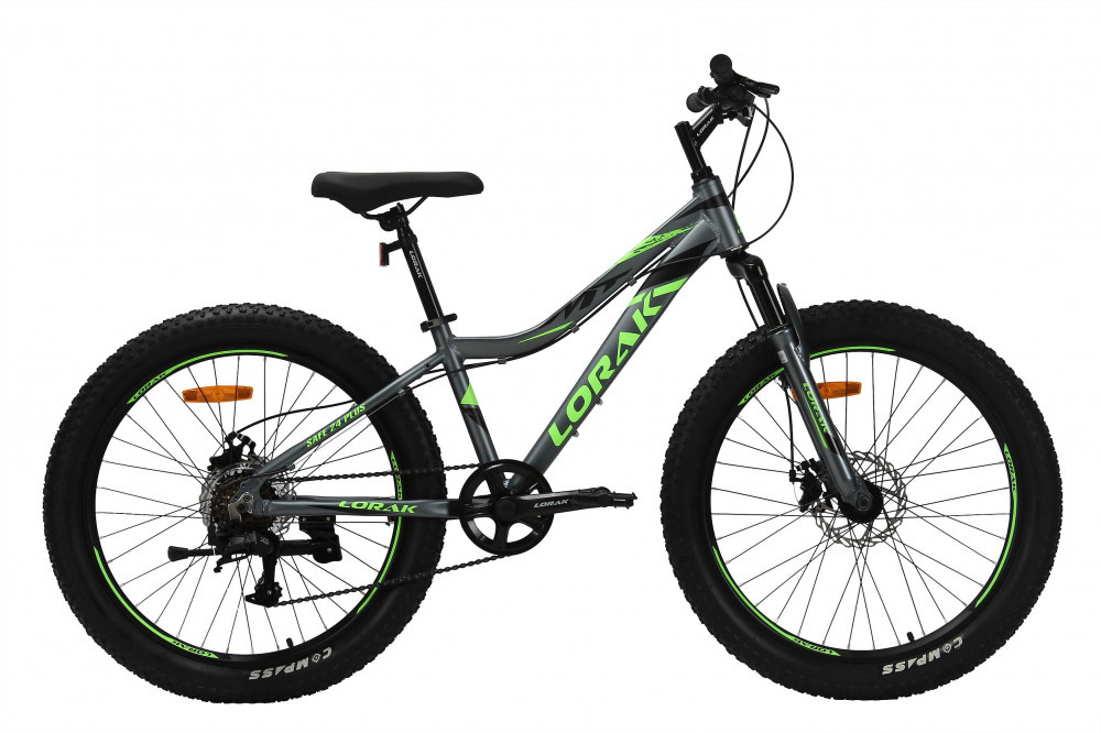 LORAK Safe PLUS 24 Серебристый/Зелёный