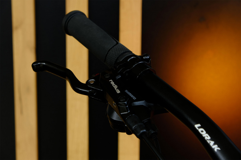 LORAK GLORY 250 HD Матовый Розовый/Золотой рама 17 (на рост 155-173)